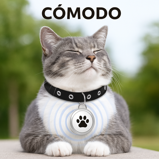 PetGuard™ GPS – Collar inteligente de rastreo en tiempo real para gatos